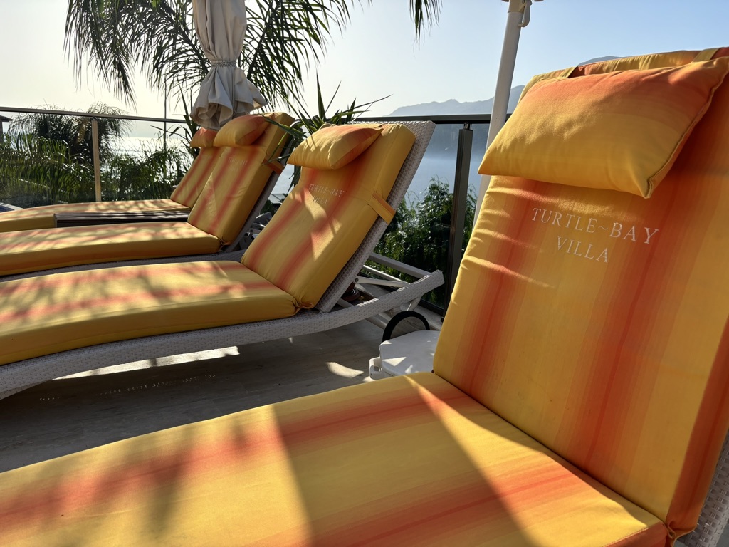 A1CB3FFE-D3E3-4280-813F-DFE8F41CF30F_1_105_c